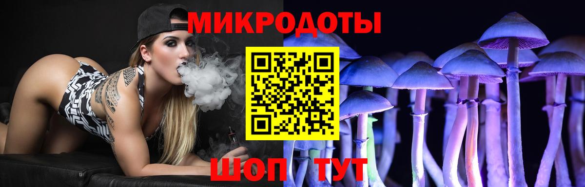 Жуковский  Галлюциногенные грибы прущие грибы  закладки  Вход с VPN  Псилоцибиновые грибы мухоморы 
